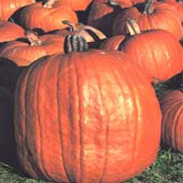  Pumpkin Seed Oil (Pumpkin Seed Oil)