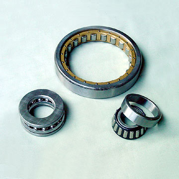  Other Types of Bearings (Autres types de roulements)