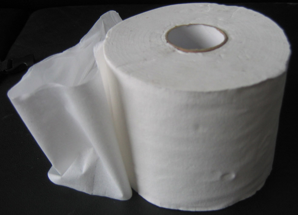 Recycled Toilet Paper (Восстановленный туалетной бумаги)