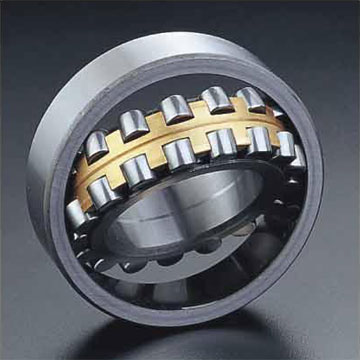  Spherical Roller Bearings (Roulements à rouleaux sphériques)