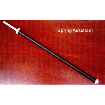 Spring Assistant (Printemps adjoint)