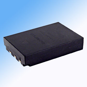  Digital Camera Battery R-S10B ( Digital Camera Battery R-S10B)