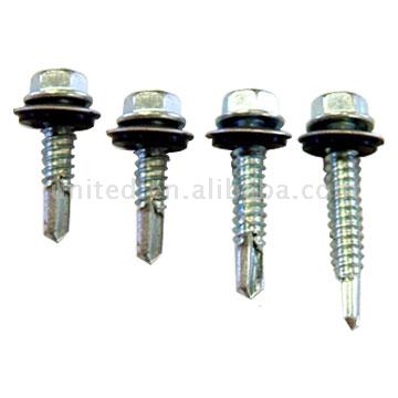 Hex Head Screw (Hex Head Screw)