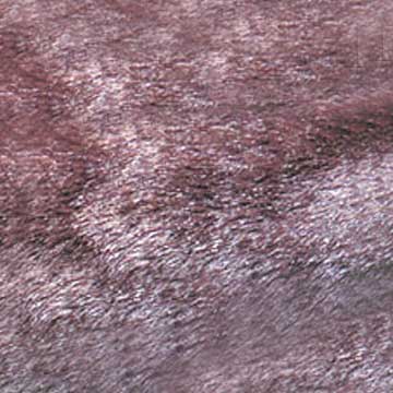 Fake Fur Fabric (Fake Fur Fabric)