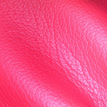  Shoe and Bag Leather (Чистка и кожаный мешок)