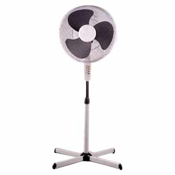  Standing Fan (Fan permanent)