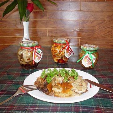  Italian or Russian Flavored Mushrooms Assortment