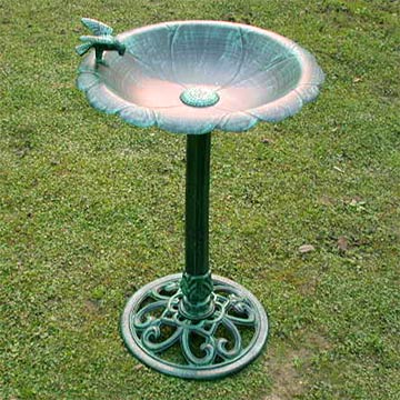  Bird Bath ( Bird Bath)