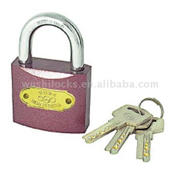  Padlock w/Computer Keys (Vorhängeschloss w / Computer Keys)