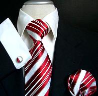  Polyester Necktie (Polyester Cravate)