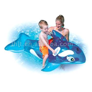  Dolphin Rider (Dolphin Rider)