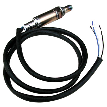  Oxygen Sensor (Capteur d`oxygène)