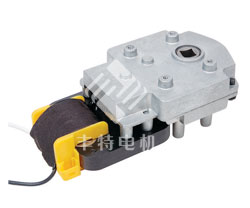  AC Geared Motor YJF6100-FB00 (AC мотор-редуктора YJF6100-FB00)