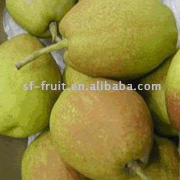  Koerle Fragrant Pear (Koerle Ароматная груша)