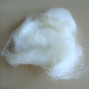  White Sheep Wool Combing (Moutons Blancs de peignage de laine)