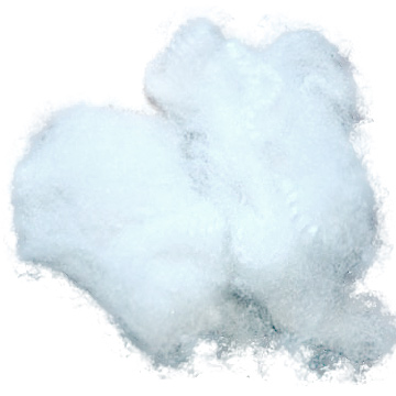  Polyester Staple Fiber Hollow Conjufated Silicon / Non Silicon 7D/15D ( Polyester Staple Fiber Hollow Conjufated Silicon / Non Silicon 7D/15D)