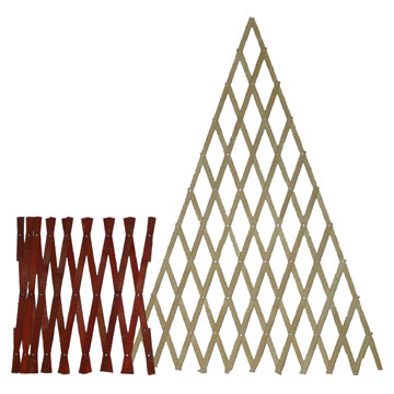 Expanding Bamboo Slat Trellis (Expanding Bamboo Slat Trellis)