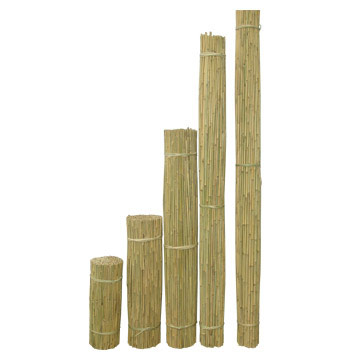  Bamboo Cane (Бамбуковой тростью)