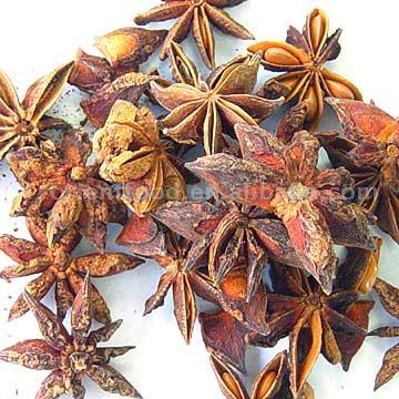  Star Aniseeds (Star anis)