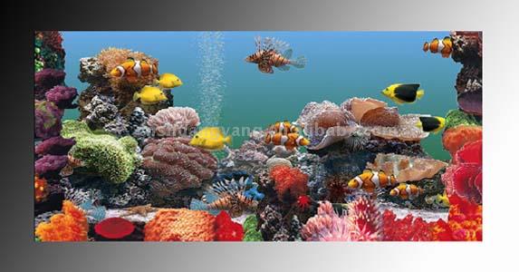  Aquarium Photo Frame ( Aquarium Photo Frame)