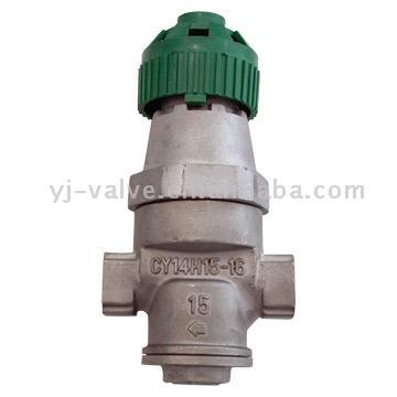  Direct Acting Steam Pressure Reducing Valve (Action directe de vapeur réducteur de pression)