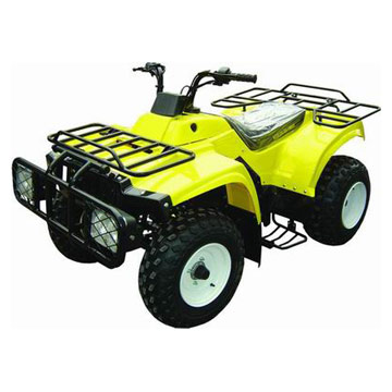  250CC ATV Model (250CC ATV модели)