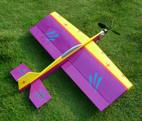  Radio-Controlled Airplane (Radio-Controlled Airplane)