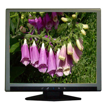  17" TFT LCD Monitor + TV (17 "TFT LCD монитор + TV)