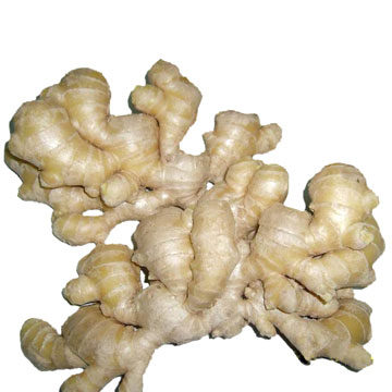  Fresh Ginger (Свежий имбирь)