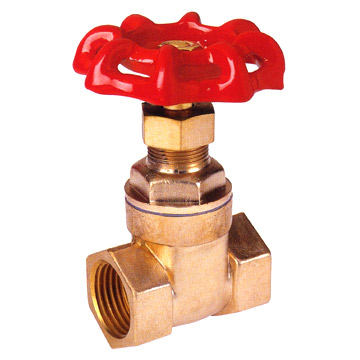  Gate Valve (Gate Valve)