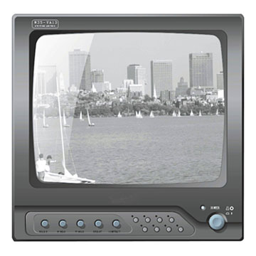  14" B/W Surveillance Monitor ( 14" B/W Surveillance Monitor)