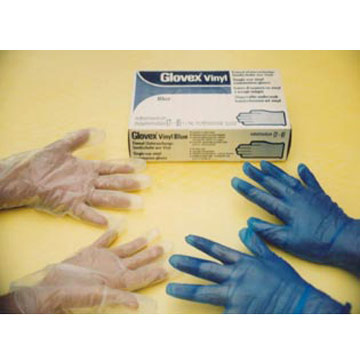  Vinyl Glove, PVC Glove ( Vinyl Glove, PVC Glove)