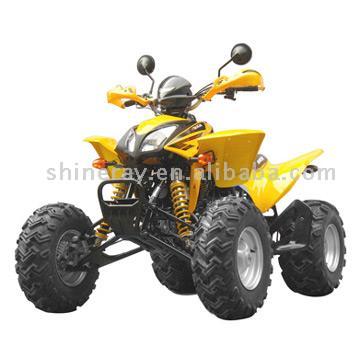  300cc ATV with EEC Homologation ( 300cc ATV with EEC Homologation)