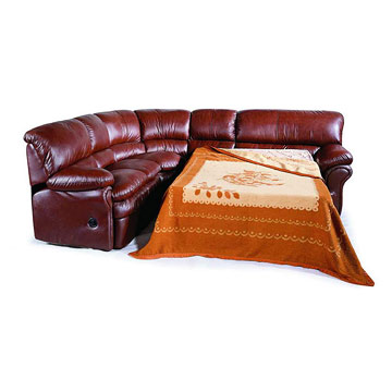  Sectional Leather Sofa / Sofa Bed (Sectional Sofa en cuir / Sofa Bed)