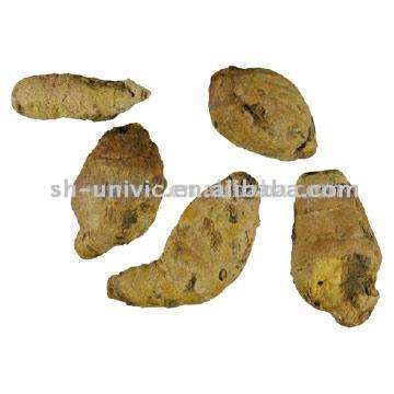  Curcuma Longa Extract L. P. E. (Куркума Лонга Extr t Л. П. Е.)