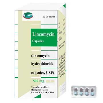  Lincomycin Hydrochloride Capsules ( Lincomycin Hydrochloride Capsules)