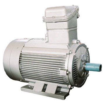  Explosion-Proof Three-Phase Asynchronous Motor (Explosion-Proof Three-Phase moteur asynchrone)