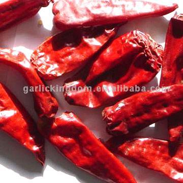  Dried(Dry),Fresh,Frozen,Powder,Paste of CHILLI From Brother Kingdom (Сушеные (сухое), свежие, замороженные, порошка, пасты чили от брата Королевство)