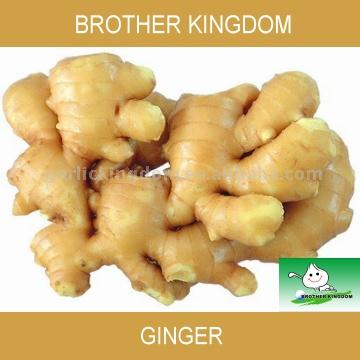  Ginger