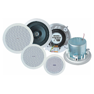  Ceiling Speakers (En Saillie)