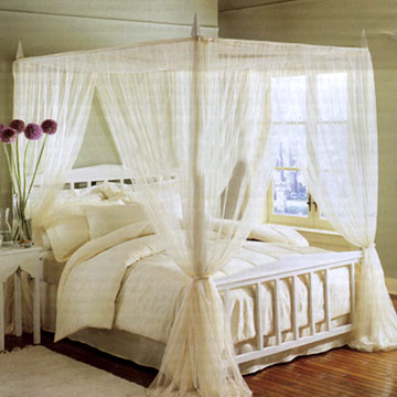 Mosquito Net ( Mosquito Net)