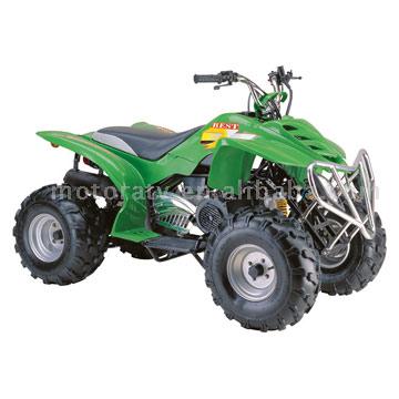  ATV / Quad ( ATV / Quad)