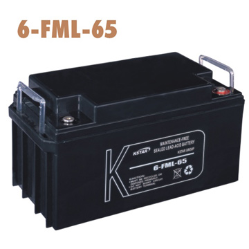  Sealed Lead Acid Battery (Sealed Lead Acid Battery)