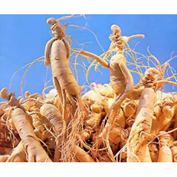  Ginseng Extract for Cosmetics (Ginseng Extrakt für Kosmetik)