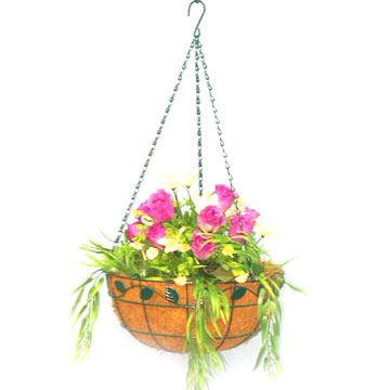  Coco Planter (Coco Planter)