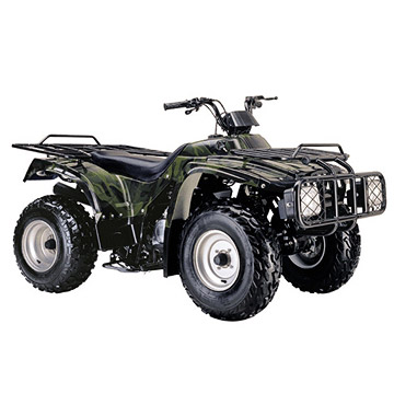  ATV (ATV)