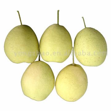  Chinese Fresh Pear (Chinesisch Frische Birne)