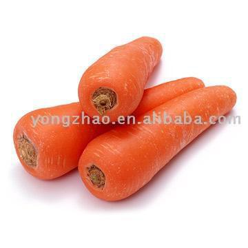  Fresh Carrot