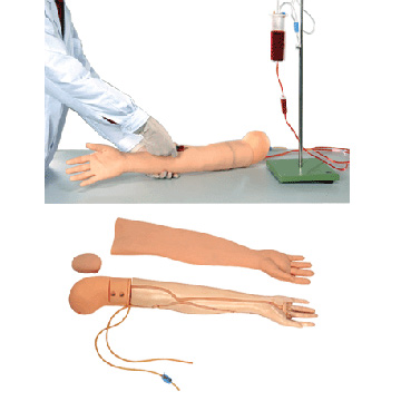  IV Injection Arm Model ( IV Injection Arm Model)