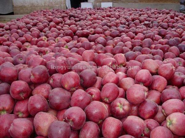  Huaniu Apple ( Huaniu Apple)